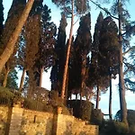 Dimore Wine Relais * Argiano