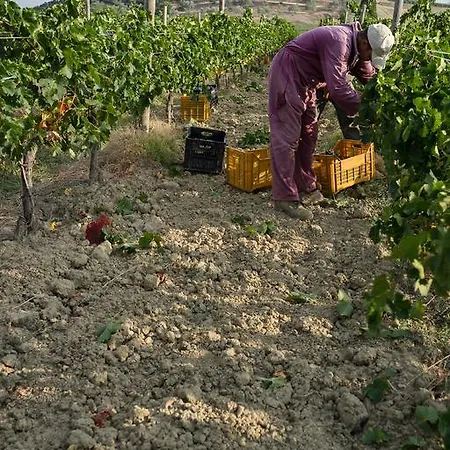 Dimore Wine Relais * Argiano