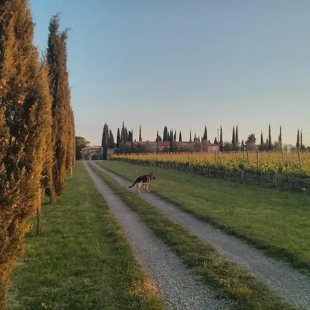 Dimore Wine Relais 农家乐 Argiano