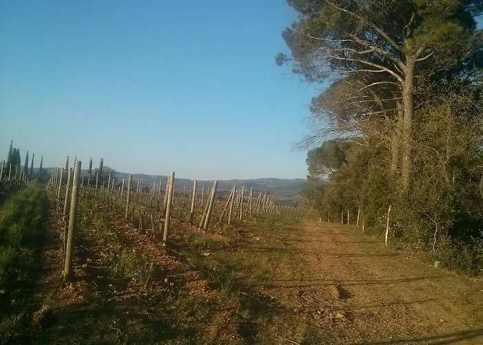 팜스테이 Dimore Wine Relais *