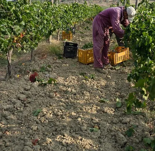 Dimore Wine Relais * Argiano