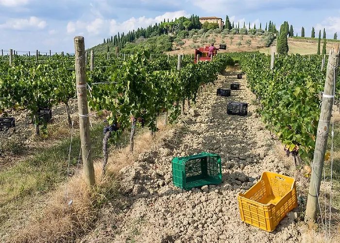 팜스테이 Dimore Wine Relais Argiano