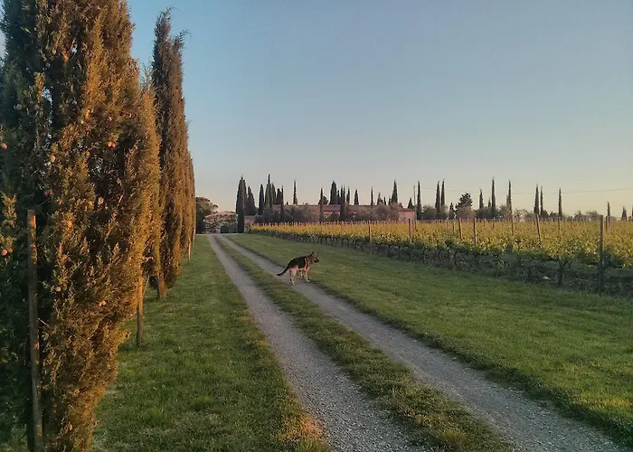 Dimore Wine Relais 팜스테이 Argiano